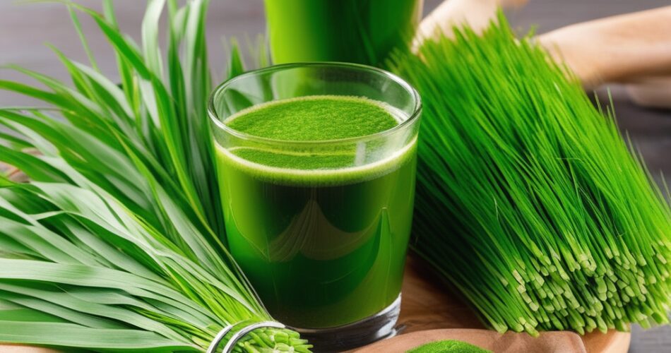Is wheatgrass safe for a wheat allergy - What you need to know