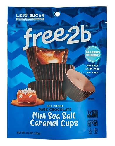 Delicious and Allergy-Friendly Snack Roundup: Sea Salt Caramel Cups, Fruit Strips, Cookies, Crispy Treats & More